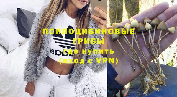 apvp Заволжск